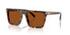 390473 - Tortoise - Brown Solid