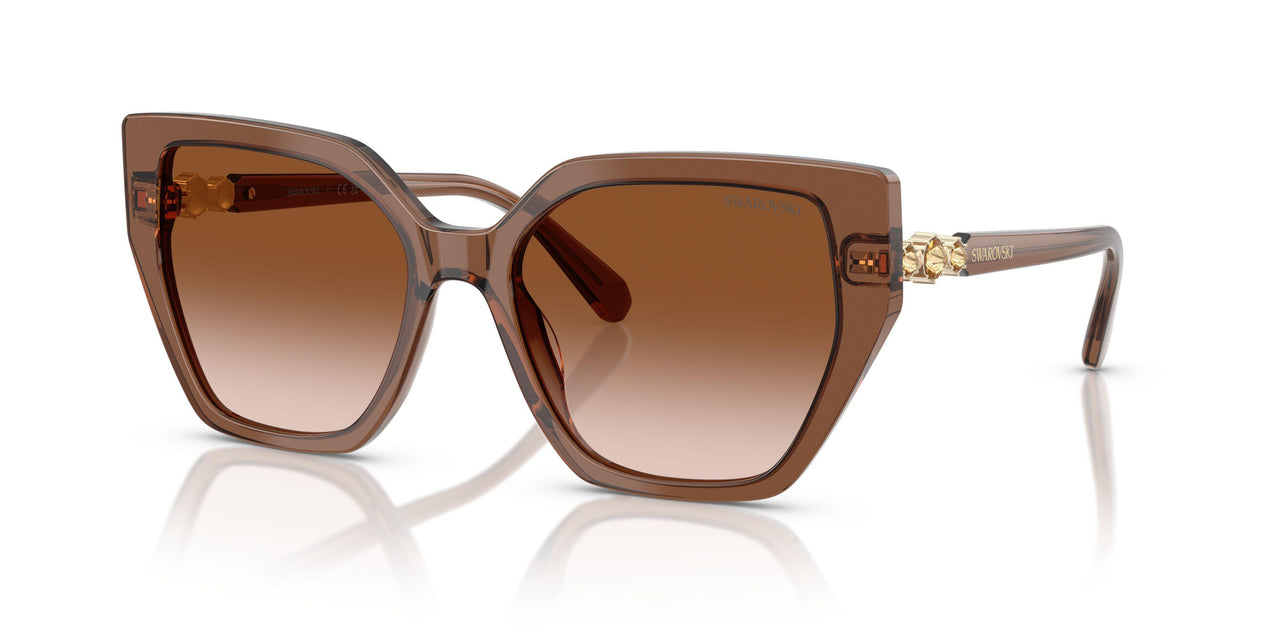106713 - Brown - Gradient Brown