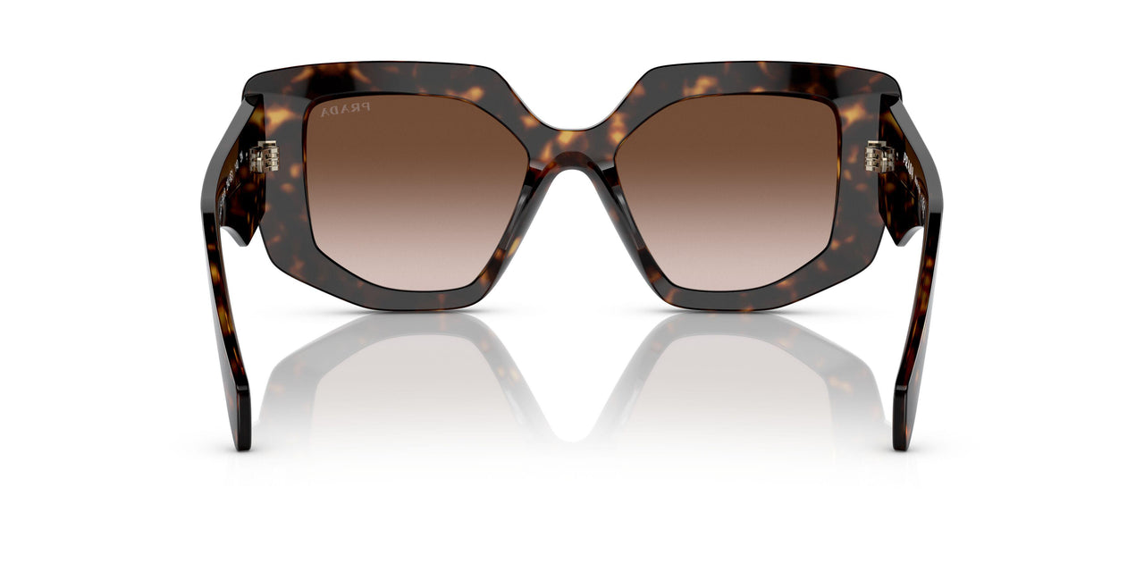2AU6S1 - Havana - Brown Gradient