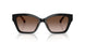 300513 - Black - Brown Gradient