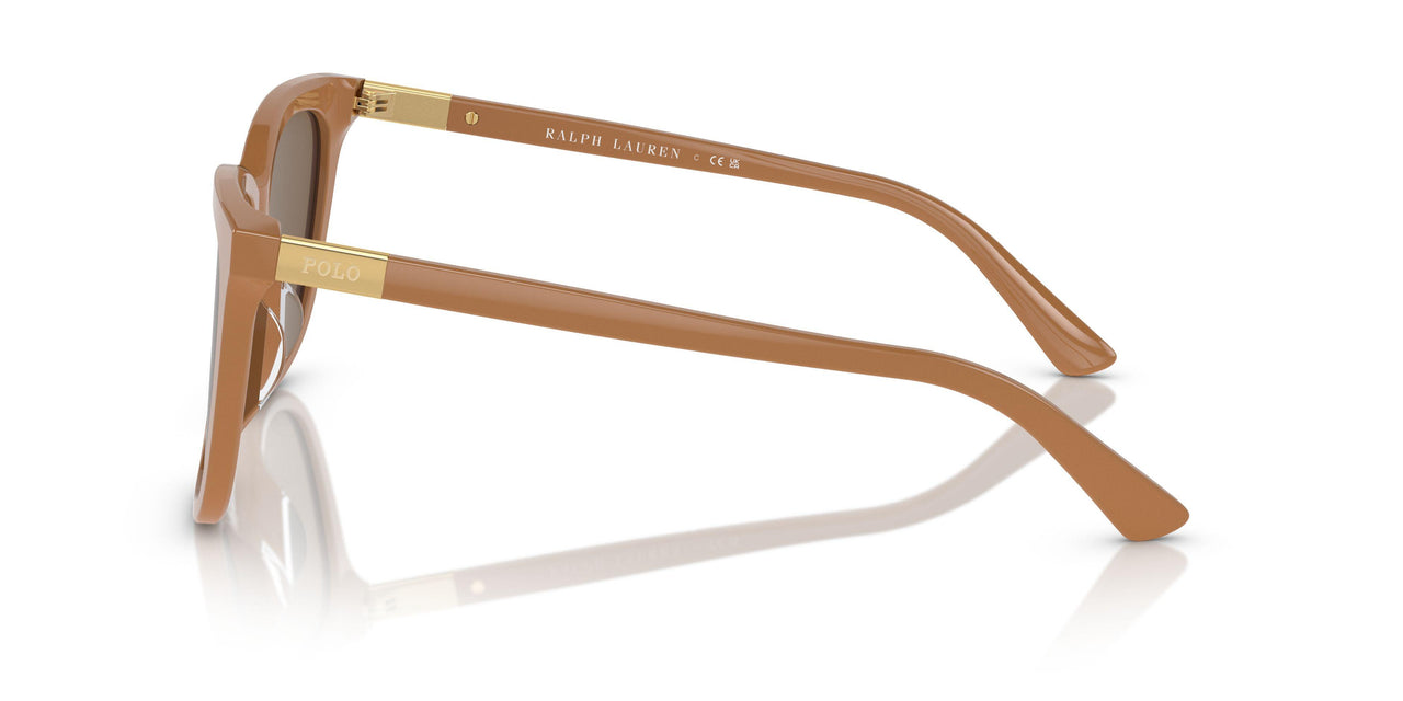 619673 - Brown - Dark Brown