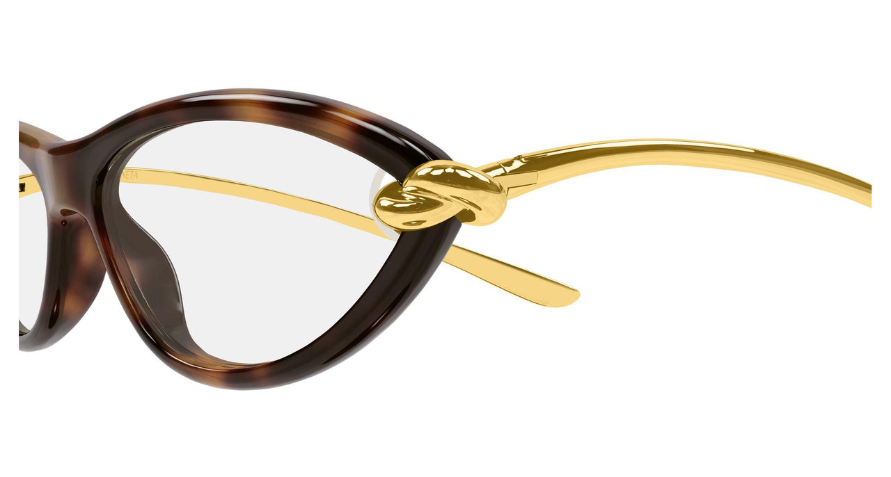 008 - Havana/Gold - Transparent