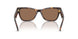 500273 - Tortoise - Dark Brown