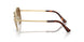 114233 - Gold - Brown