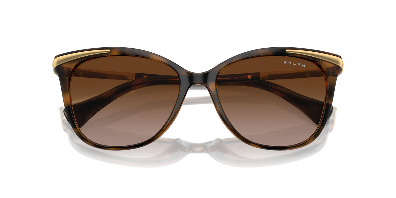 614913 - Brown - Gradient Brown