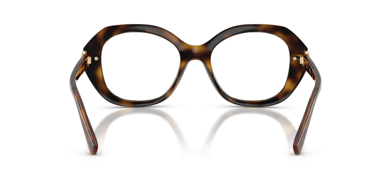W656 - Brown