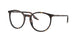 902/GJ - Tortoise - Clear/green