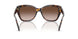 502613 - Tortoise - Brown Gradient