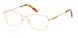 Viva 50018 Eyeglasses