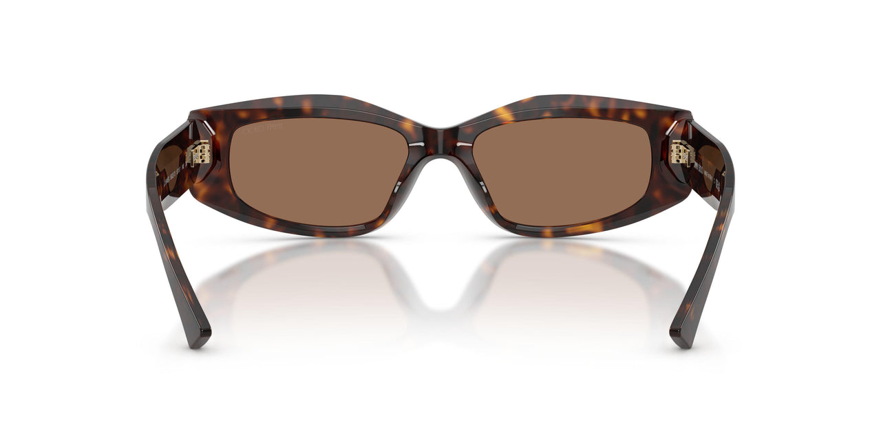 500273 - Tortoise - Dark Brown