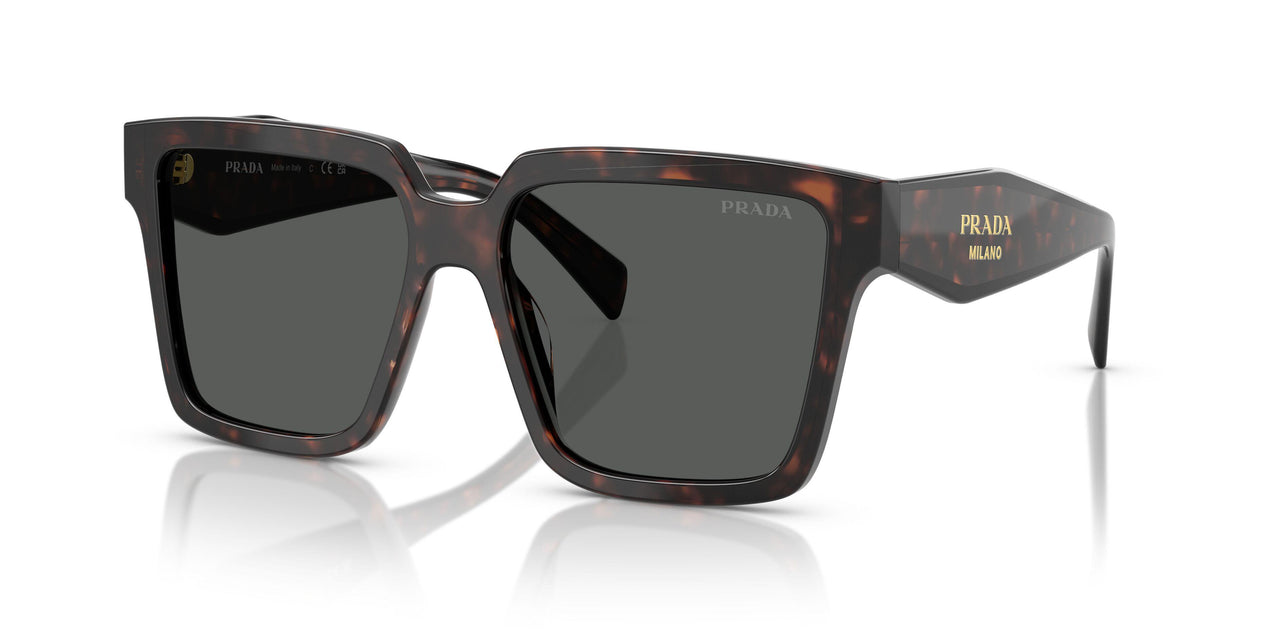 17N40L - Tortoise - Dark Grey