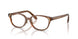 1067 - Brown