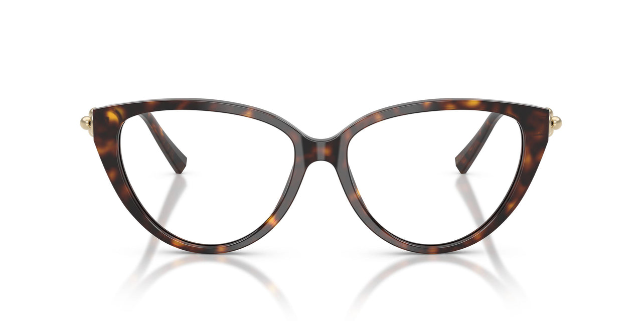 8015 - Tortoise