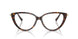 8015 - Tortoise