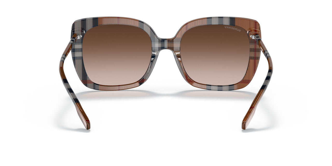 400513 - Brown - Gradient Brown