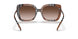 400513 - Brown - Gradient Brown
