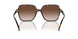 300613 - Tortoise - Brown Gradient