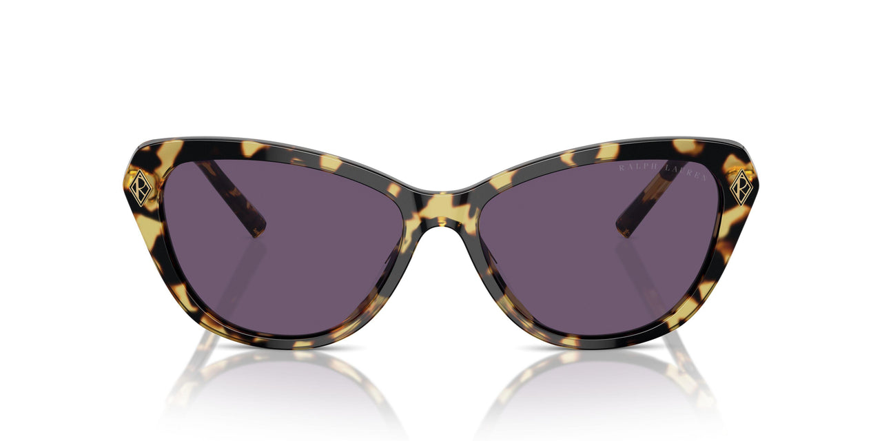 50041A - Brown - Purple