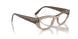 3181 - Brown