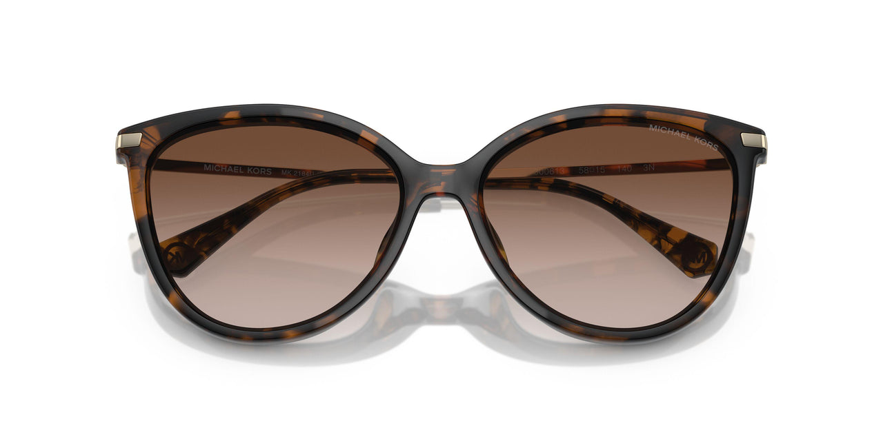 300613 - Tortoise - Brown Gradient