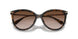 300613 - Tortoise - Brown Gradient