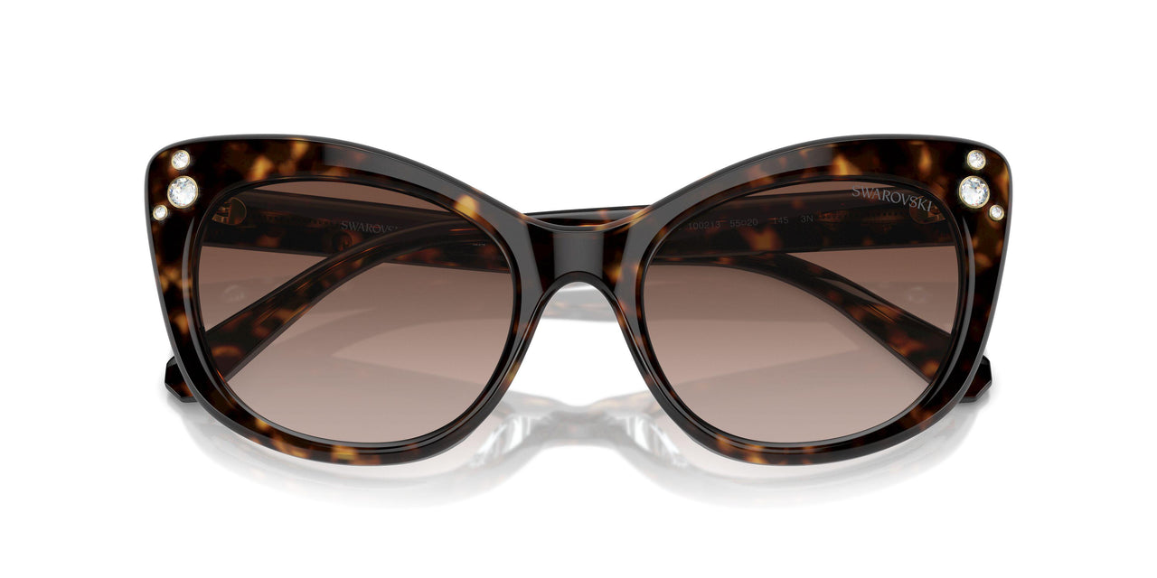 100213 - Tortoise - Gradient Brown