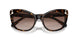 100213 - Tortoise - Gradient Brown