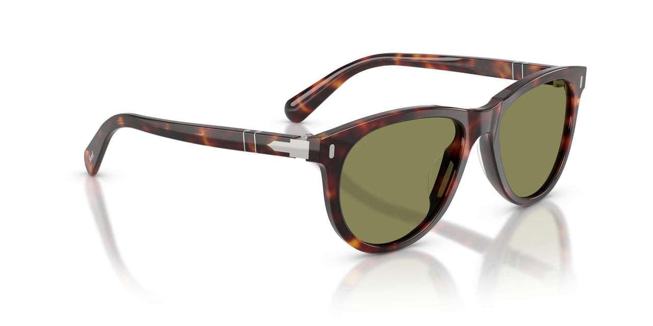 24/4E - Tortoise - Light Green