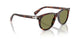 24/4E - Tortoise - Light Green