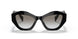 1AB0A7 - Black - Grey Gradient