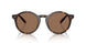 567373 - Tortoise - Dark Brown