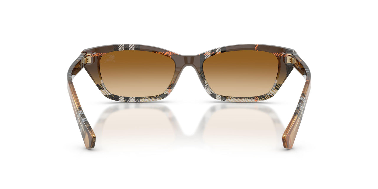 420213 - Brown - Brown Gradient