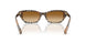 420213 - Brown - Brown Gradient