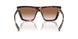 07R0A6 - Tortoise - Brown Gradient