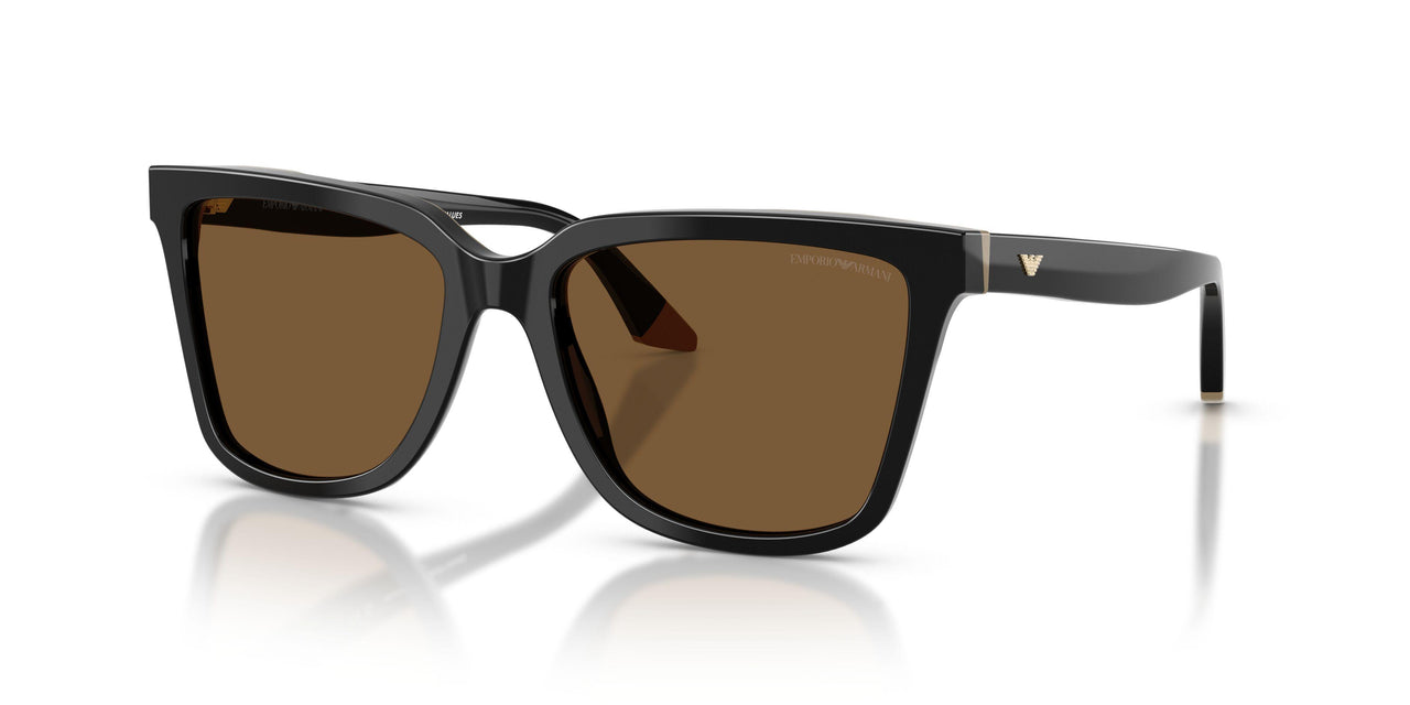 631373 - Black - Brown