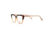 10 - CLEAR BROWN & TOP DEMI BROWN