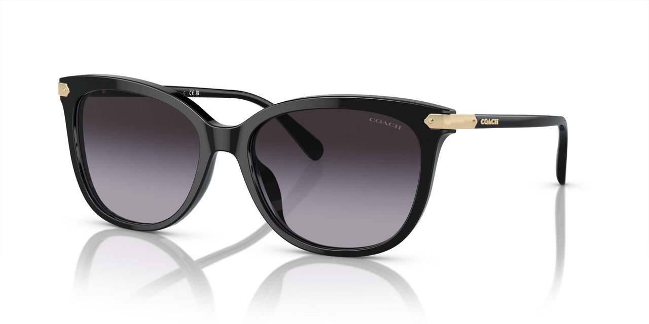 50028G - Black - Grey Gradient