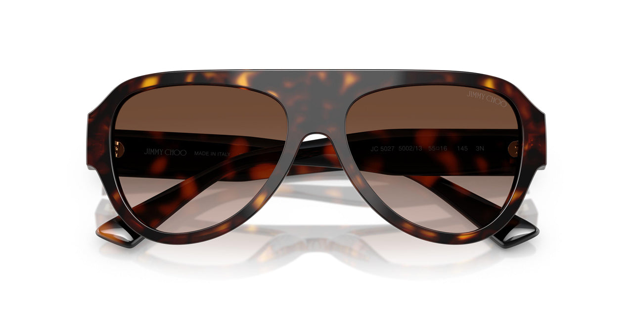 500213 - Tortoise - Gradient Brown
