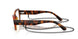 W656 - Brown