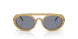641119 - Brown - Blue