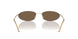 300273 - Gold - Dark Brown
