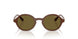 329673 - Brown - Dark Brown