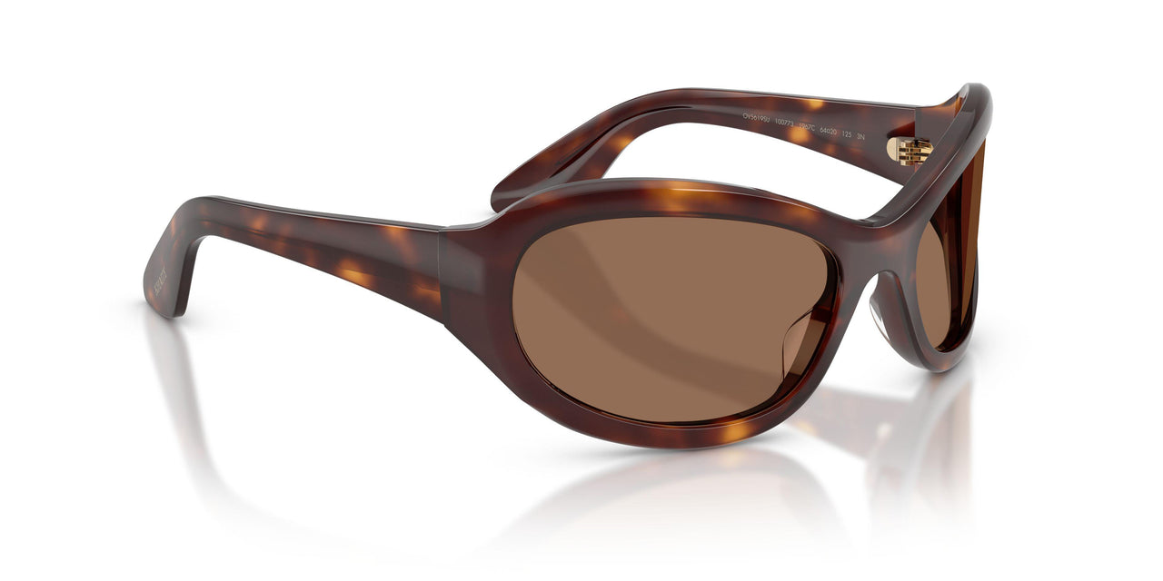 100773 - Tortoise - Brown