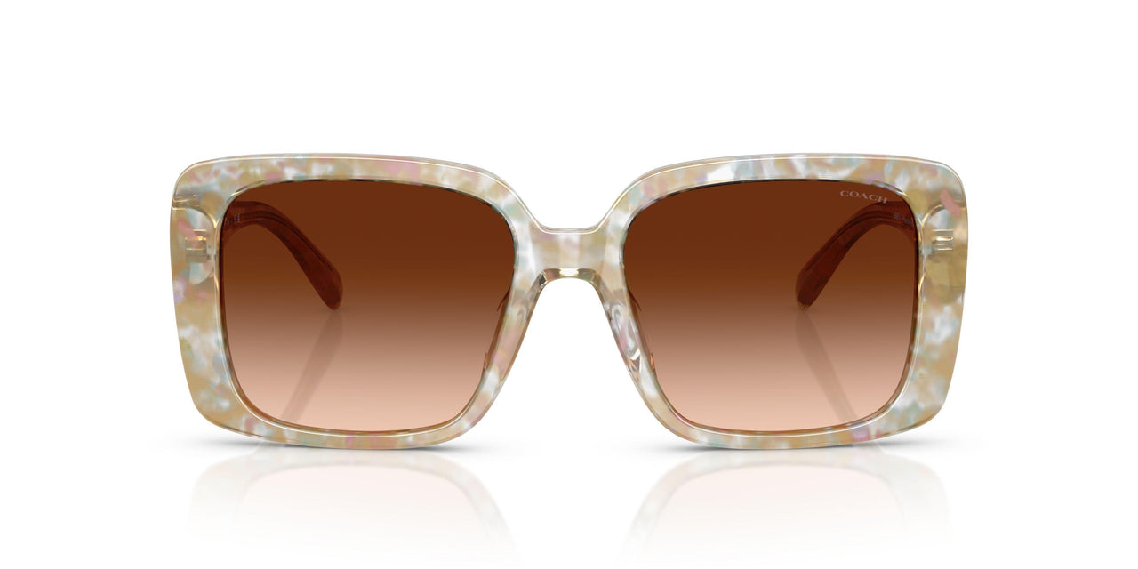 586874 - Brown - Brown Gradient