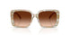 586874 - Brown - Brown Gradient