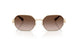 334613 - Gold - Brown Gradient