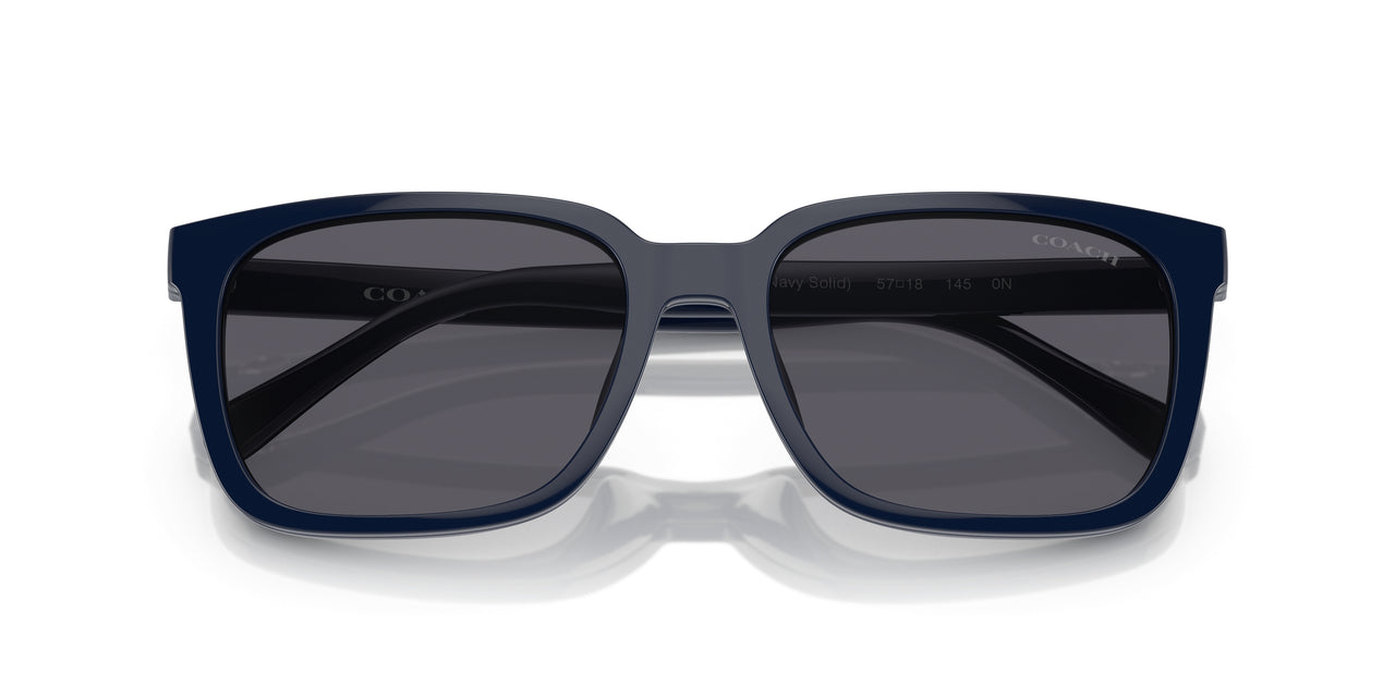 576287 - Blue - Blue Solid