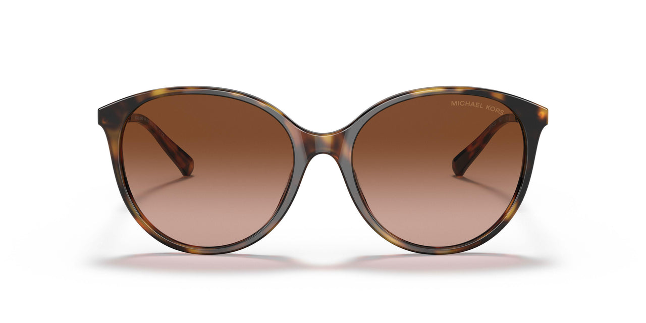 39043B - Havana - Brown Gradient