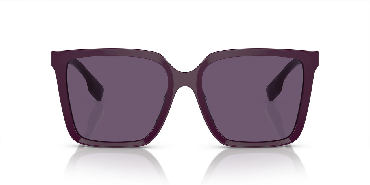 34001A - Violet - Violet