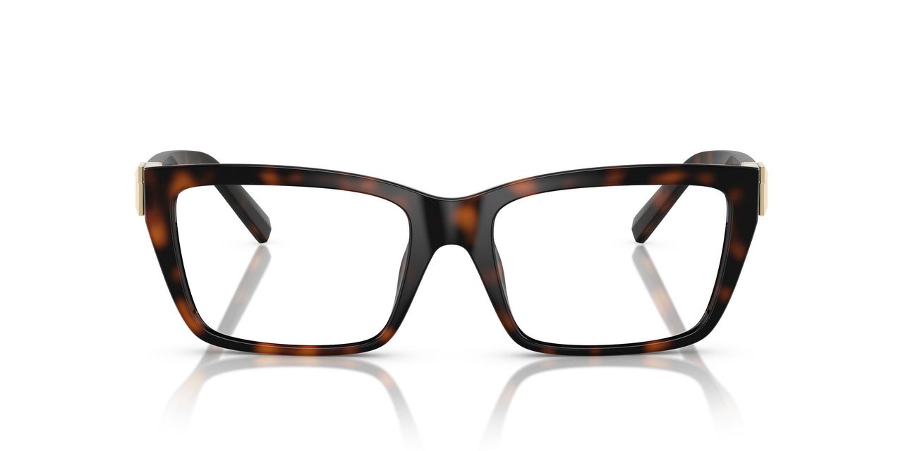 8015 - Tortoise